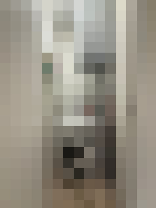  / #11