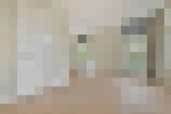 / #11