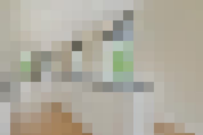  / #9