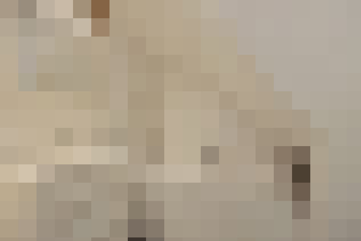  / #17