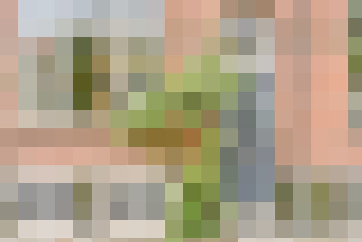  / #18