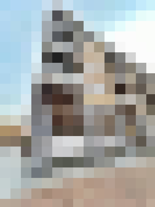  / #11