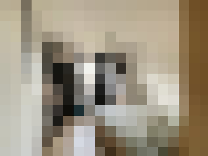  / #16