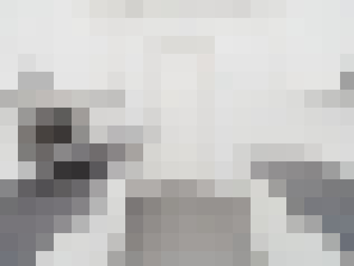  / #13