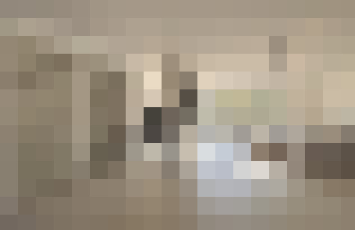 / #17