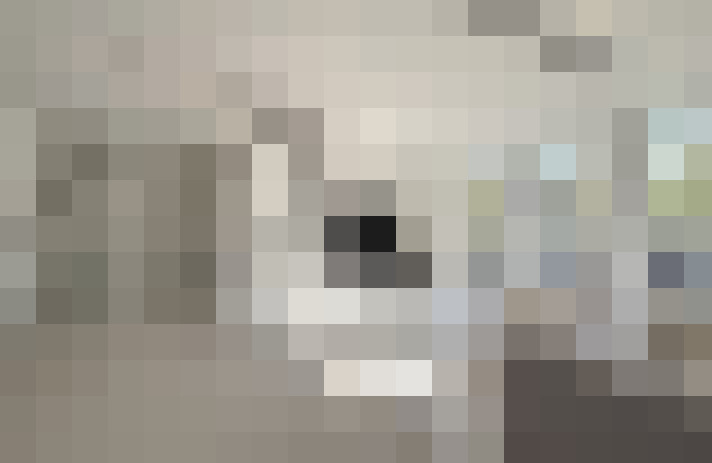  / #21