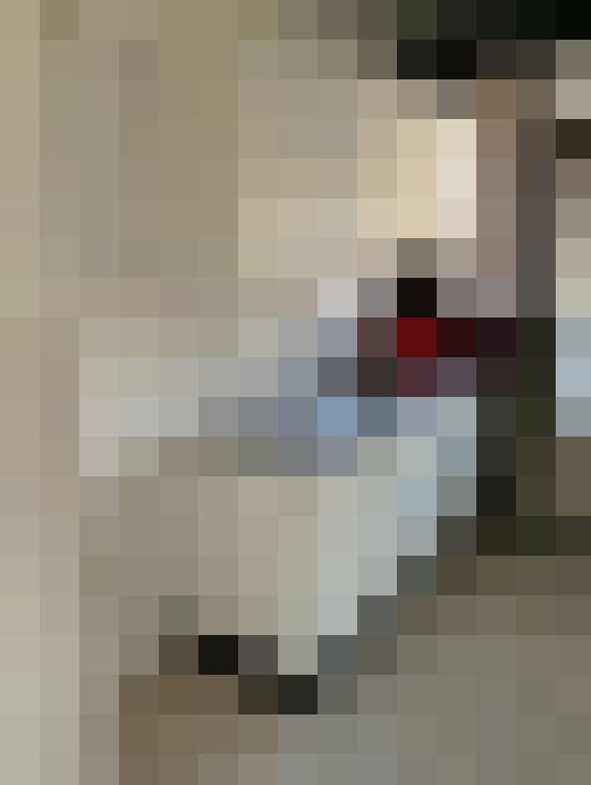  / #15