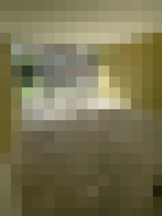  / #24