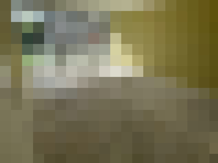  / #23
