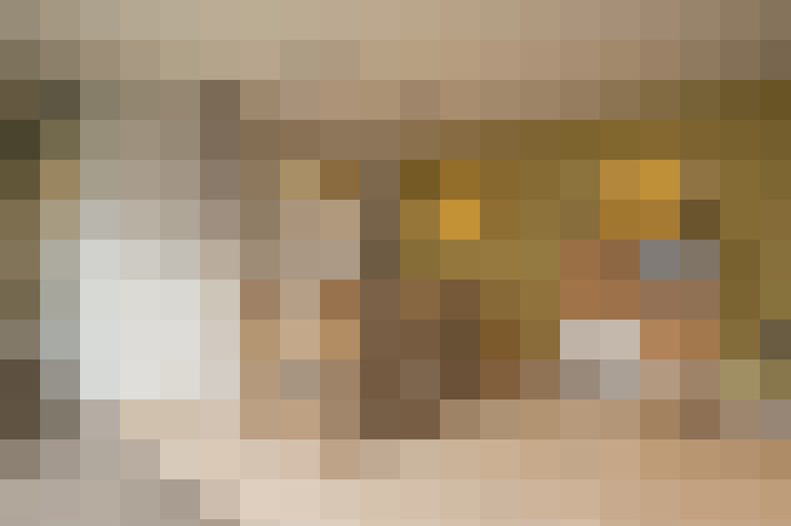  / #17