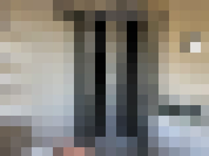  / #11