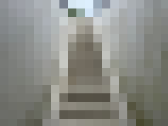  / #19