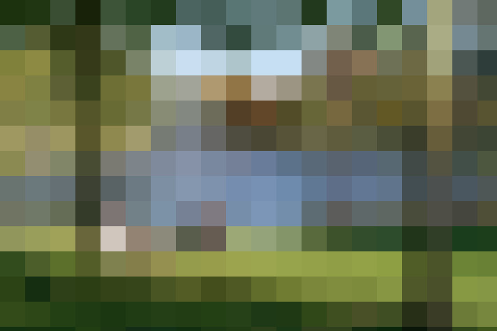  / #24