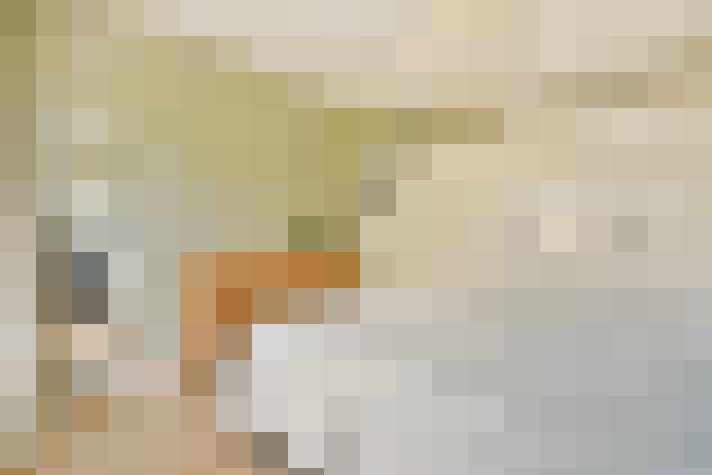 / #19