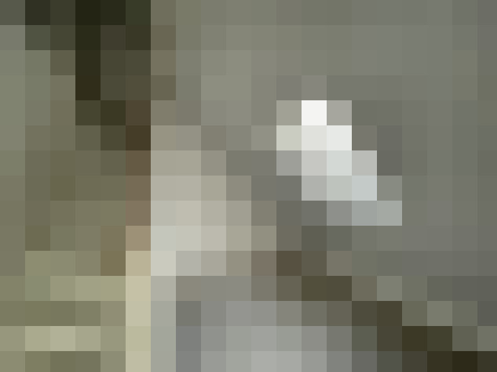  / #14