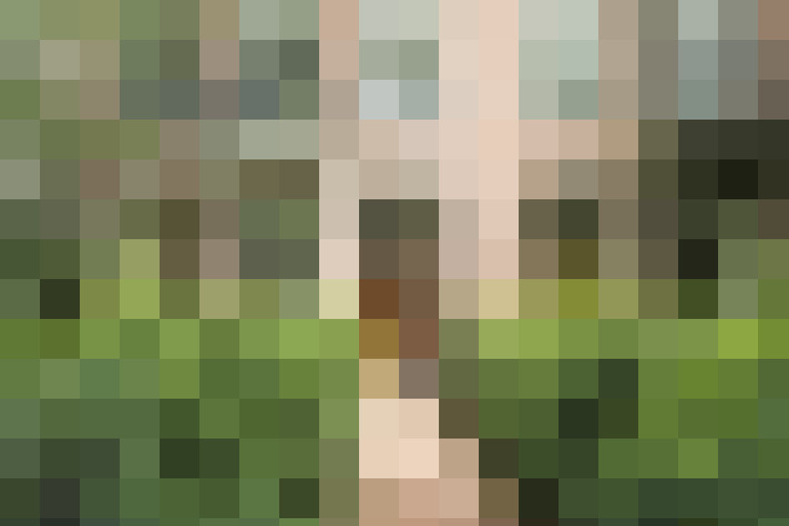  / #15