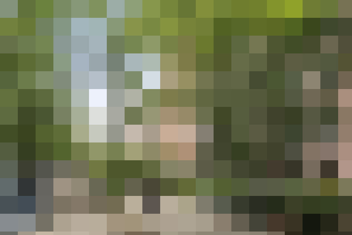  / #16