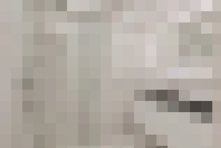  / #27