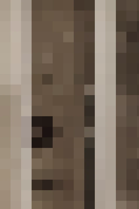  / #20