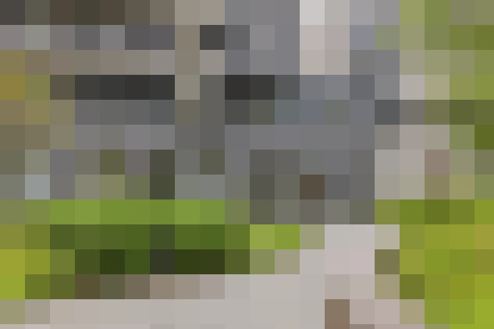  / #15