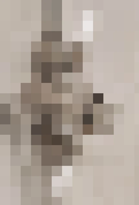  / #27