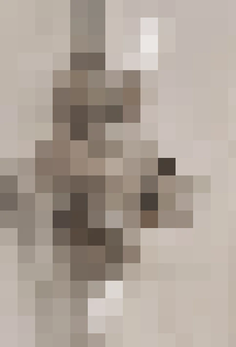  / #28