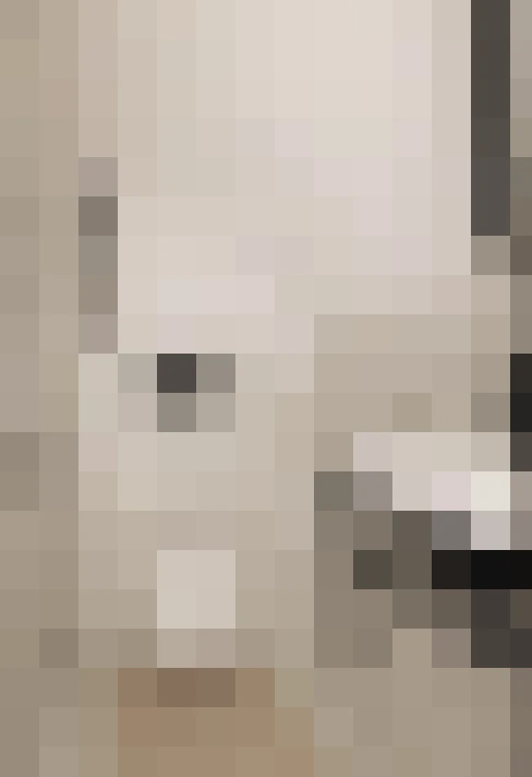  / #13
