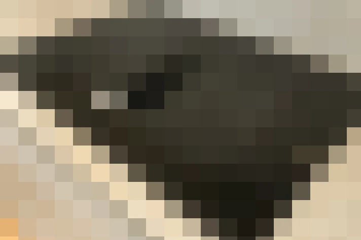  / #18