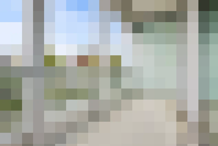  / #19