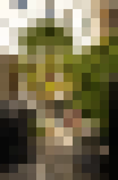  / #20