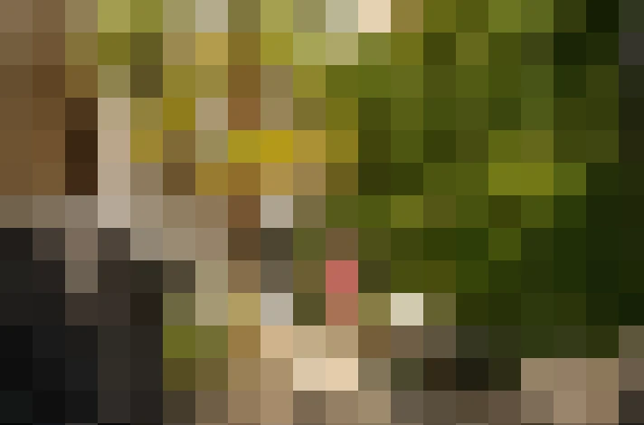  / #23