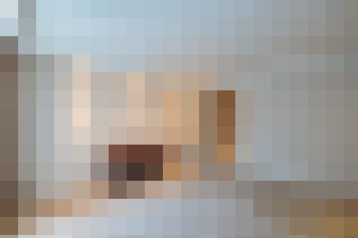  / #13