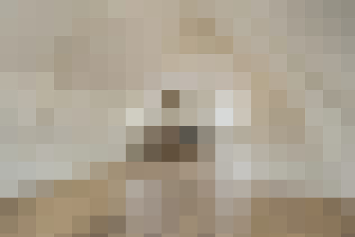  / #19