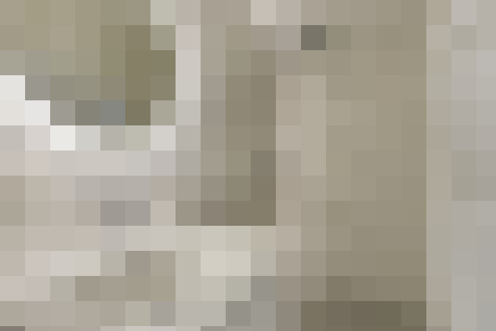  / #11