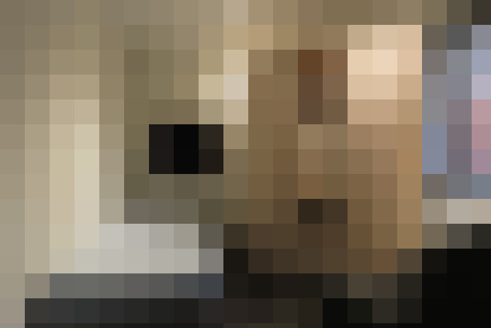  / #14