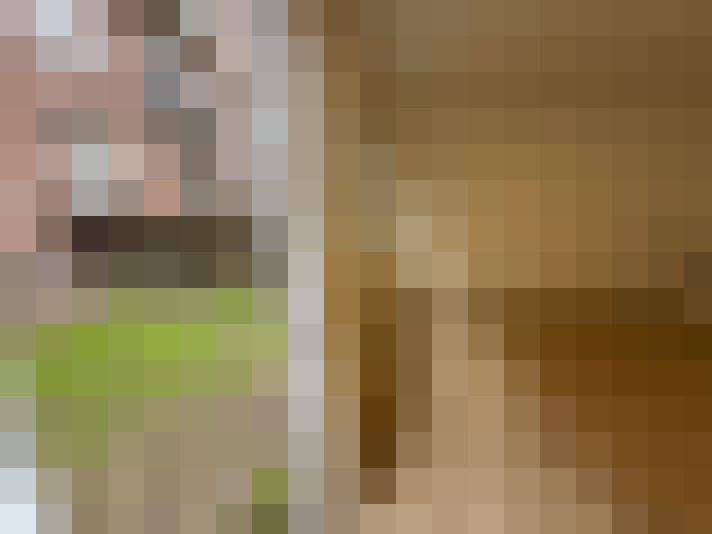  / #14