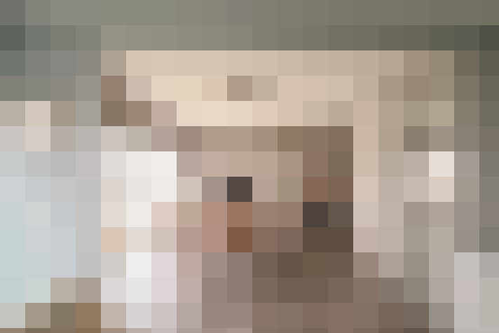  / #15