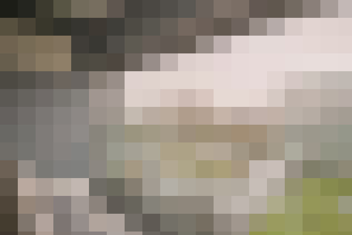  / #12