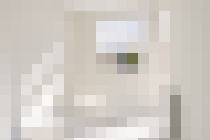  / #24