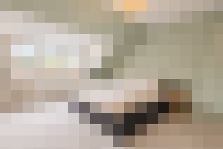  / #15