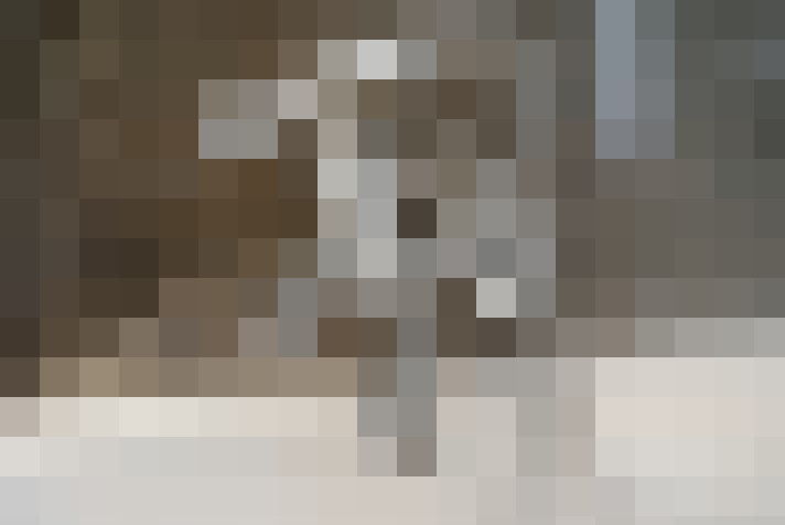  / #16