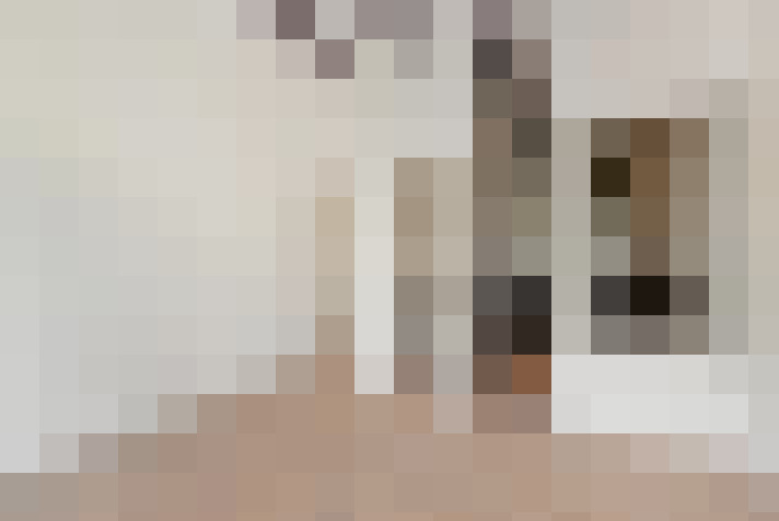  / #11