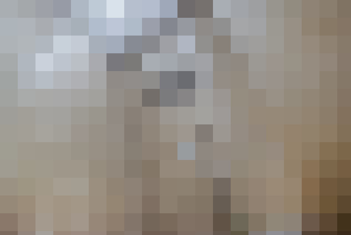  / #15