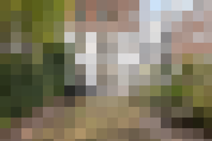  / #14