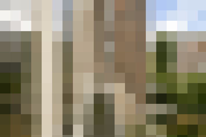  / #16