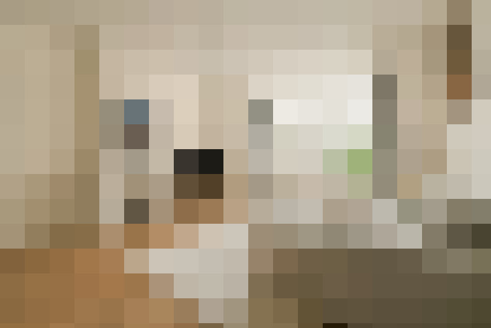  / #8