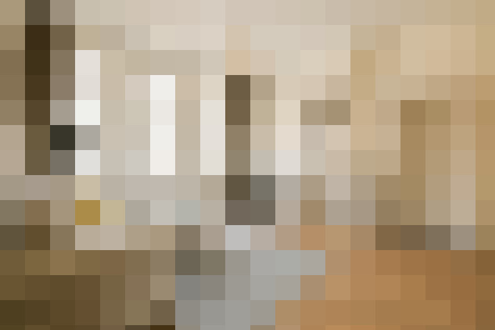  / #19