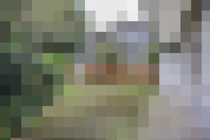  / #17