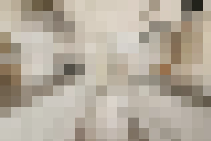  / #16