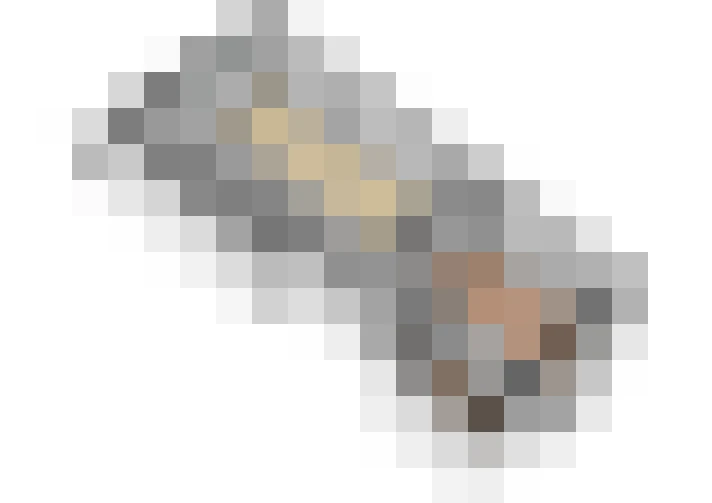  / #17